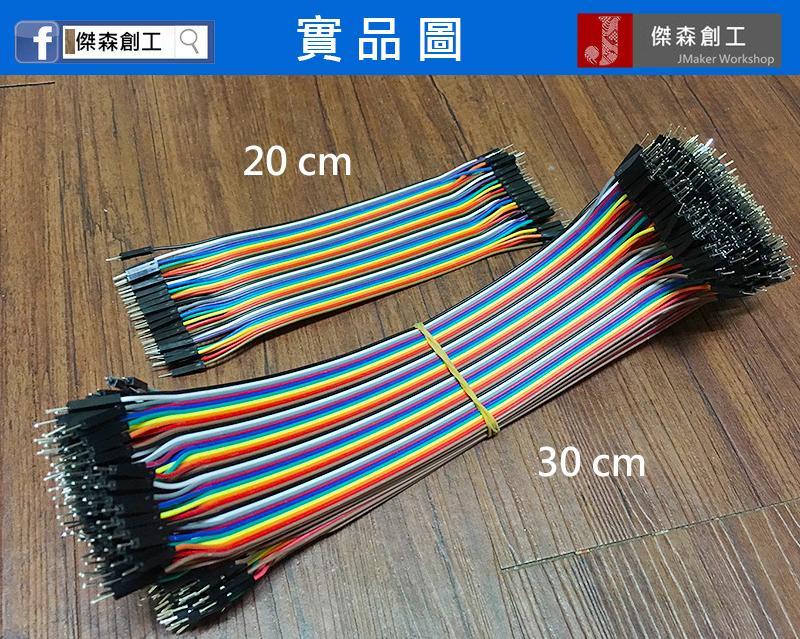 杜邦線 30cm 10條 12股銅絲含膠殼
