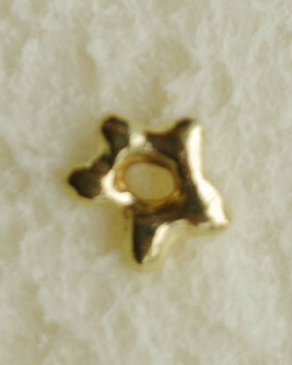金星星