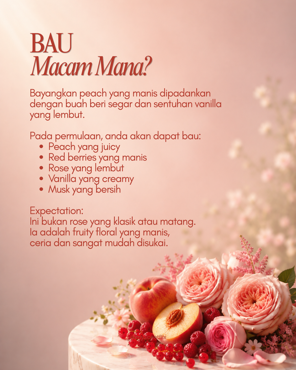 SCENTFLIX Zara Wonder Rose 2