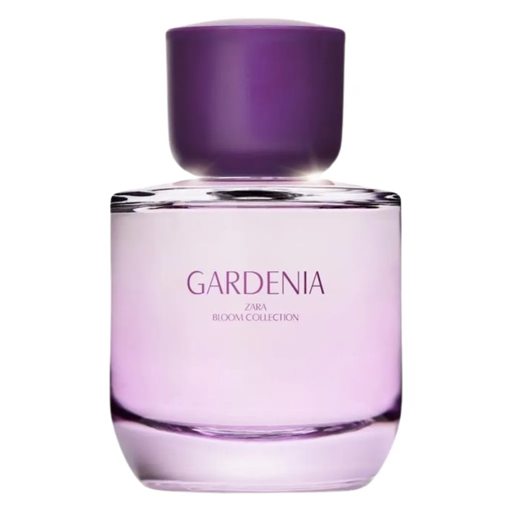 Zara Gardenia