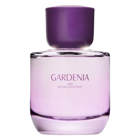 Zara Gardenia