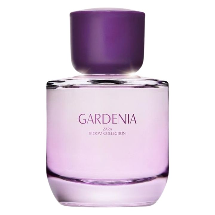 Zara Gardenia