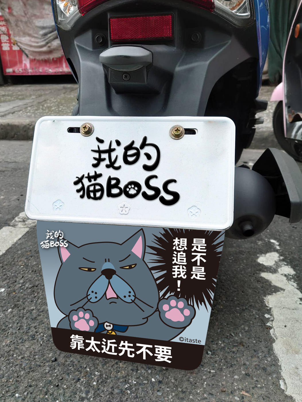 貓BOSS1.jpg