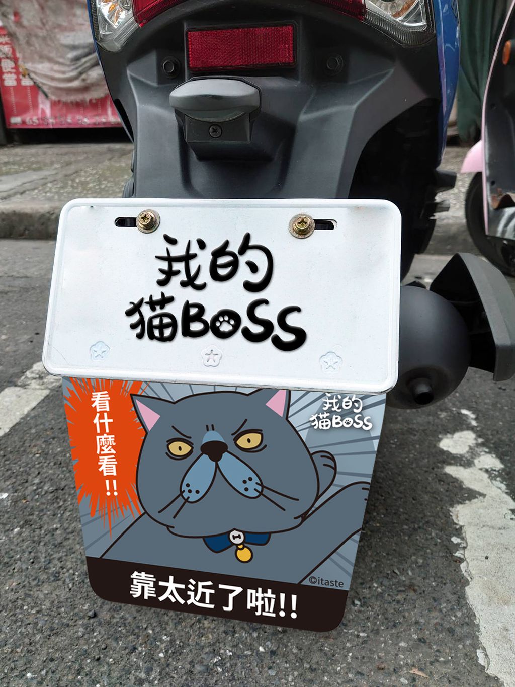貓BOSS2.jpg