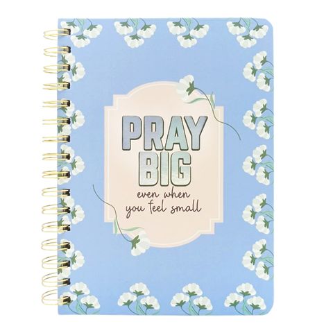 01 - wire - o nb -  pray big - front