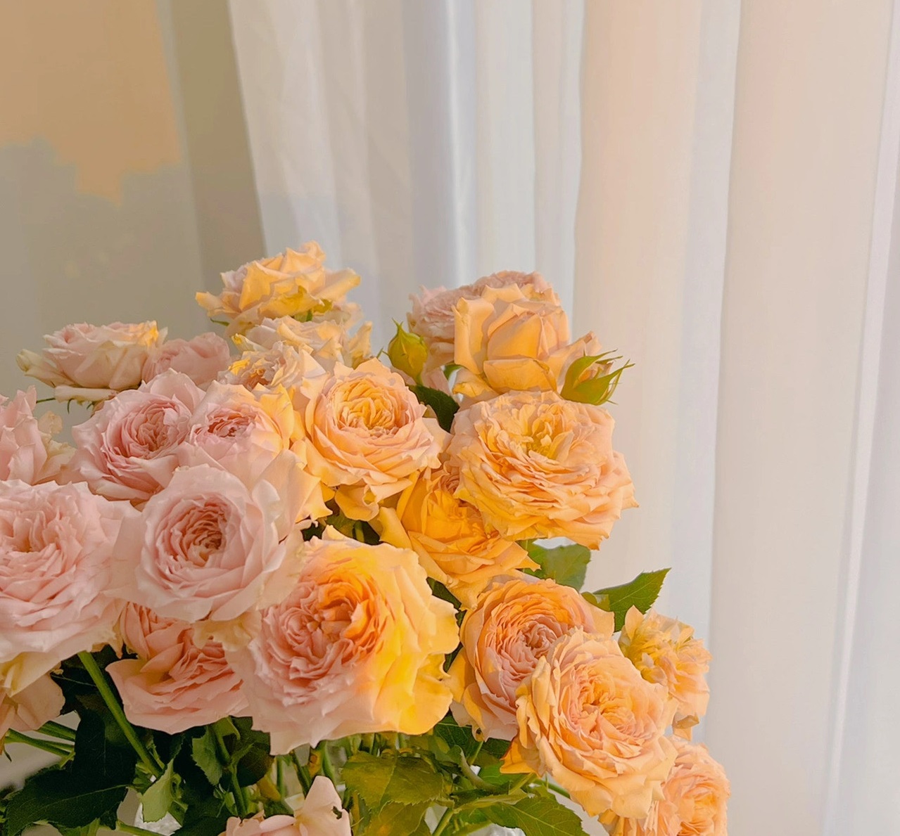 What Does The Color And Quantity of  Roses Signify?