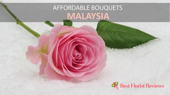  | Temptation Florist | Florist Seremban | Florist KL