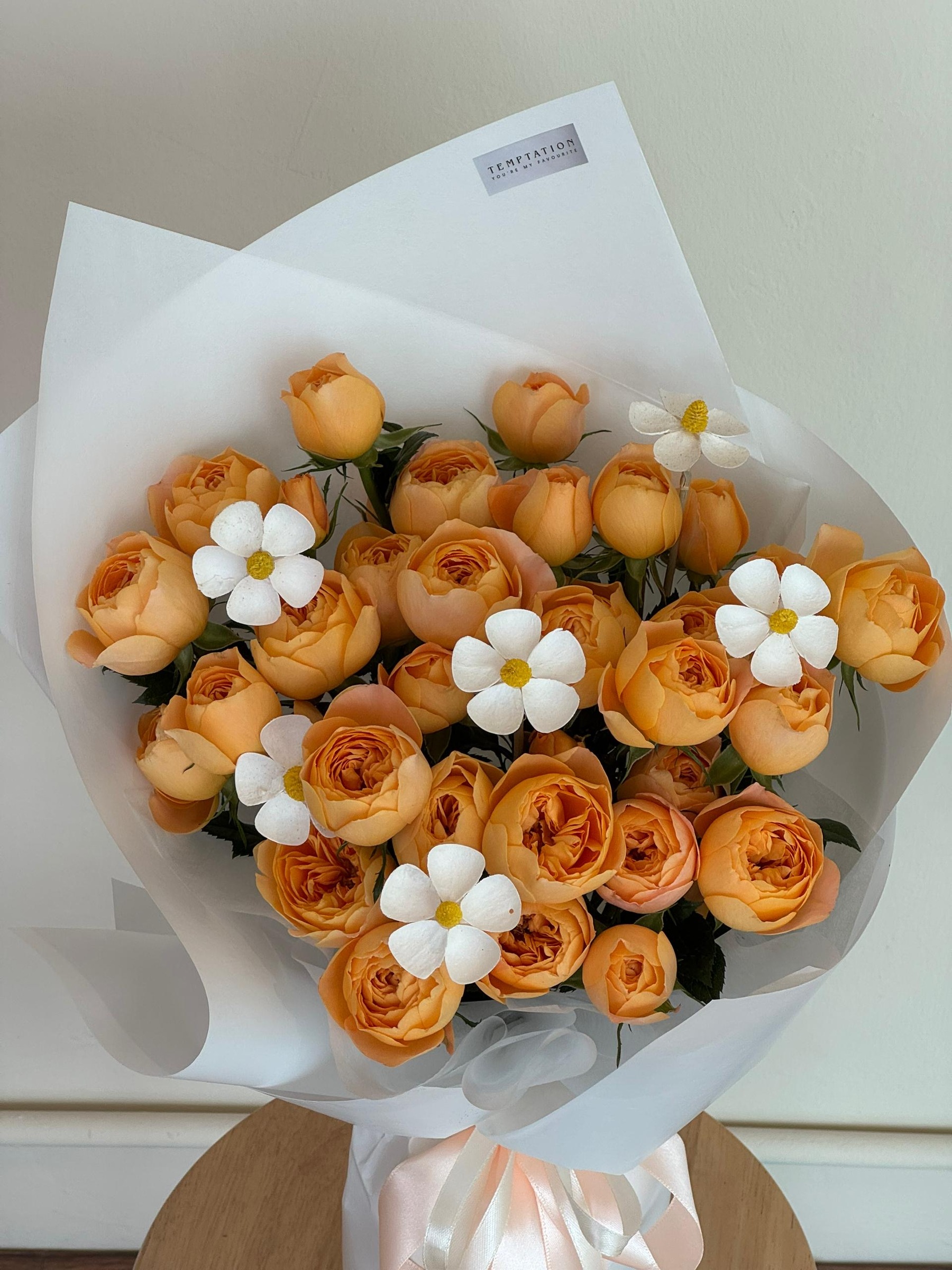 image_217912BB-79DE-4E81-B842-EC7AA3E2E33F_1773634944