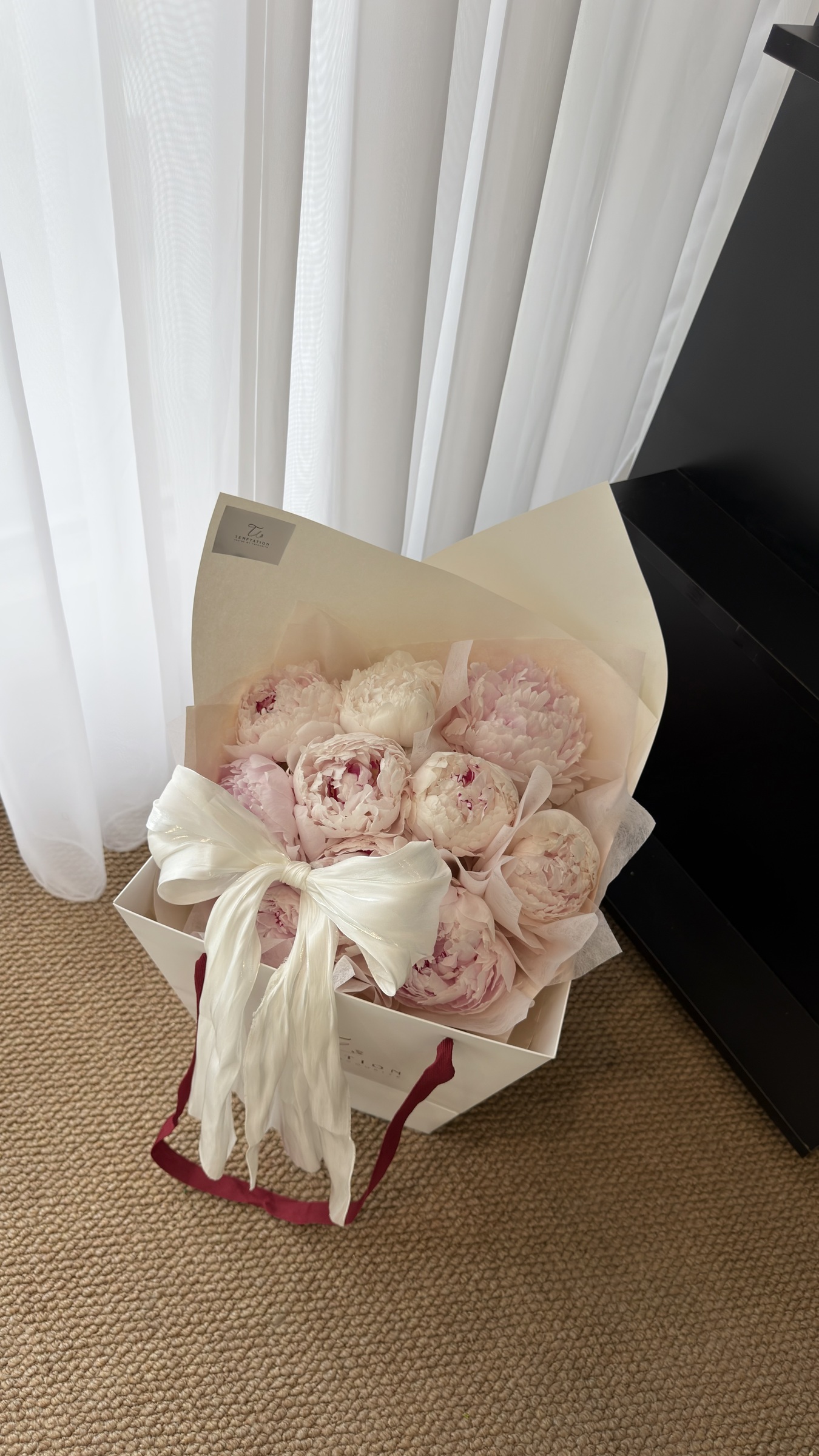 image_9BB185BE-1A22-4361-8BBA-3A7DB847F097_1775646158