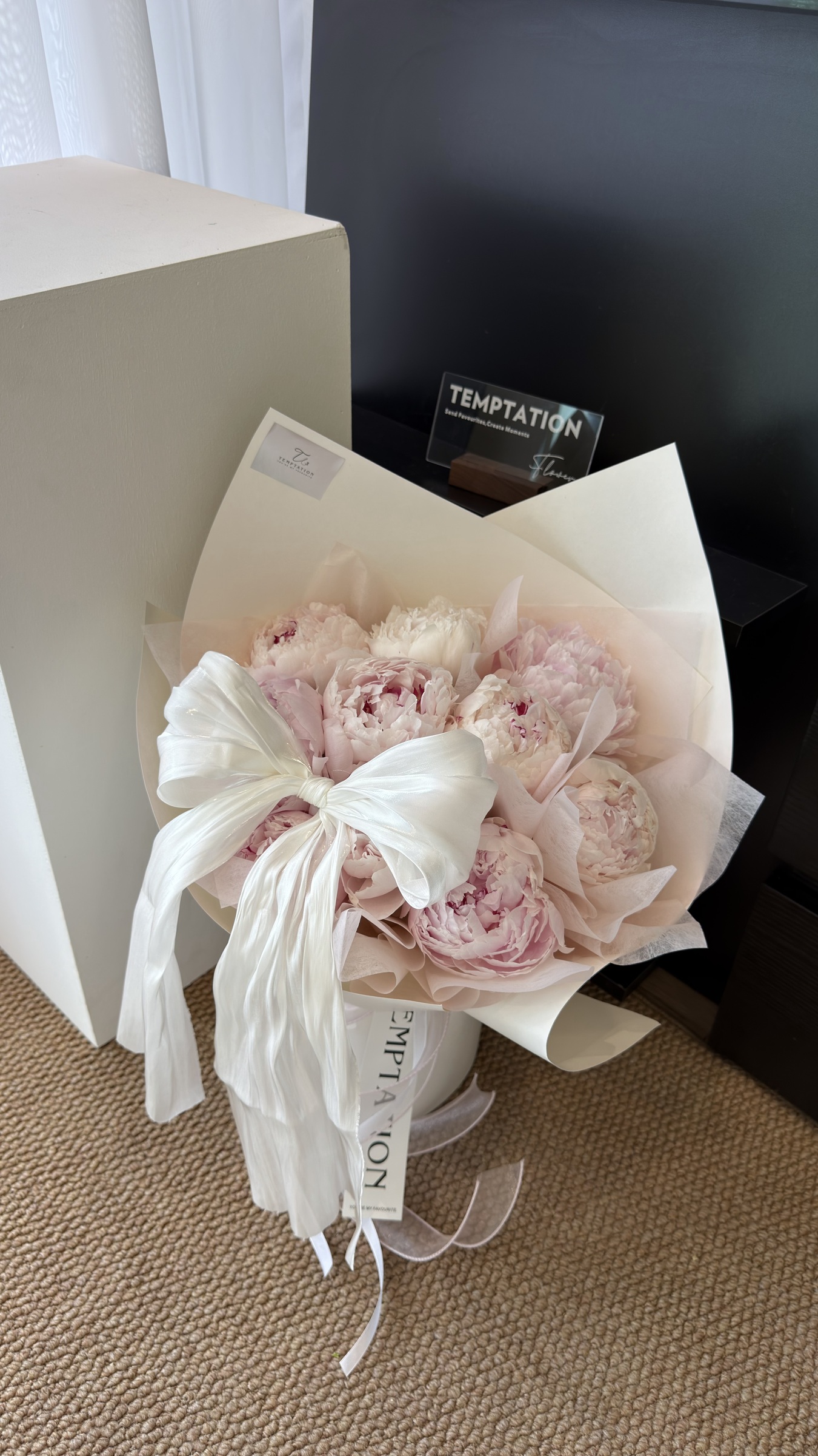 image_D50B0765-205F-4AE7-97F4-8262D871F637_1775646158