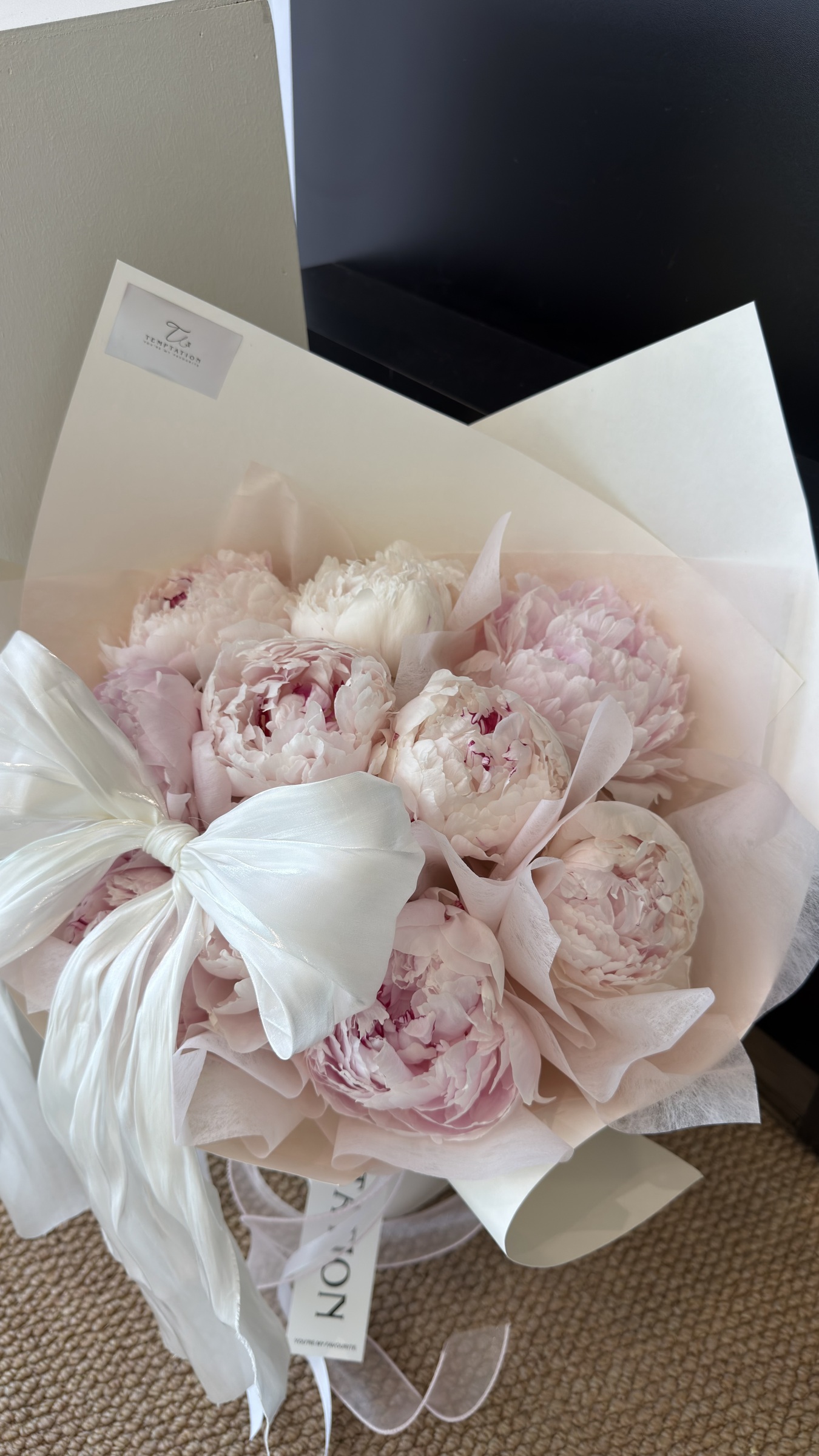 image_70245BBA-920F-44CF-A211-6ADF1E036ED5_1775646158