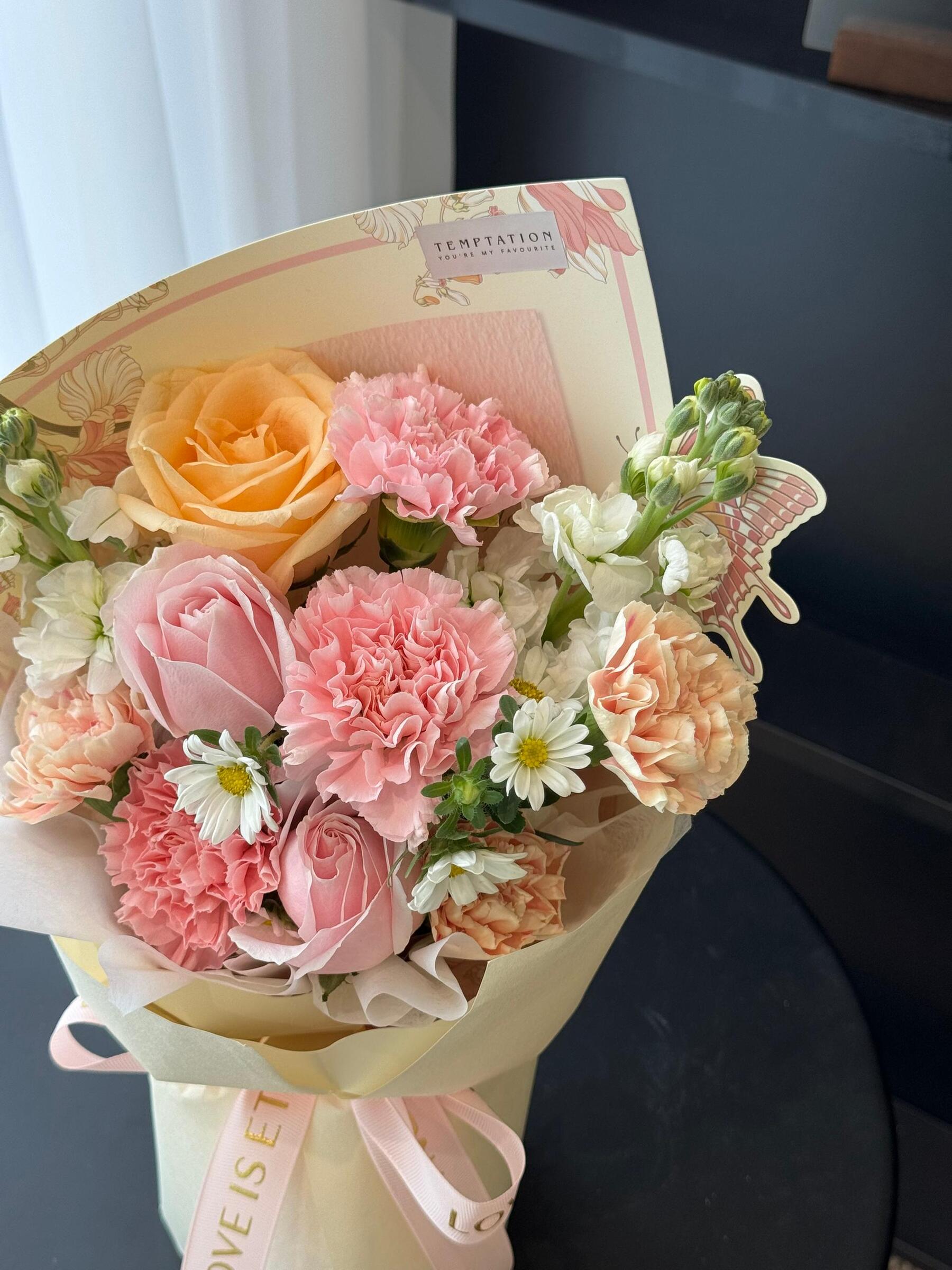 image_520DE277-A65B-4F56-925E-C30B76FEF89F_1776758031