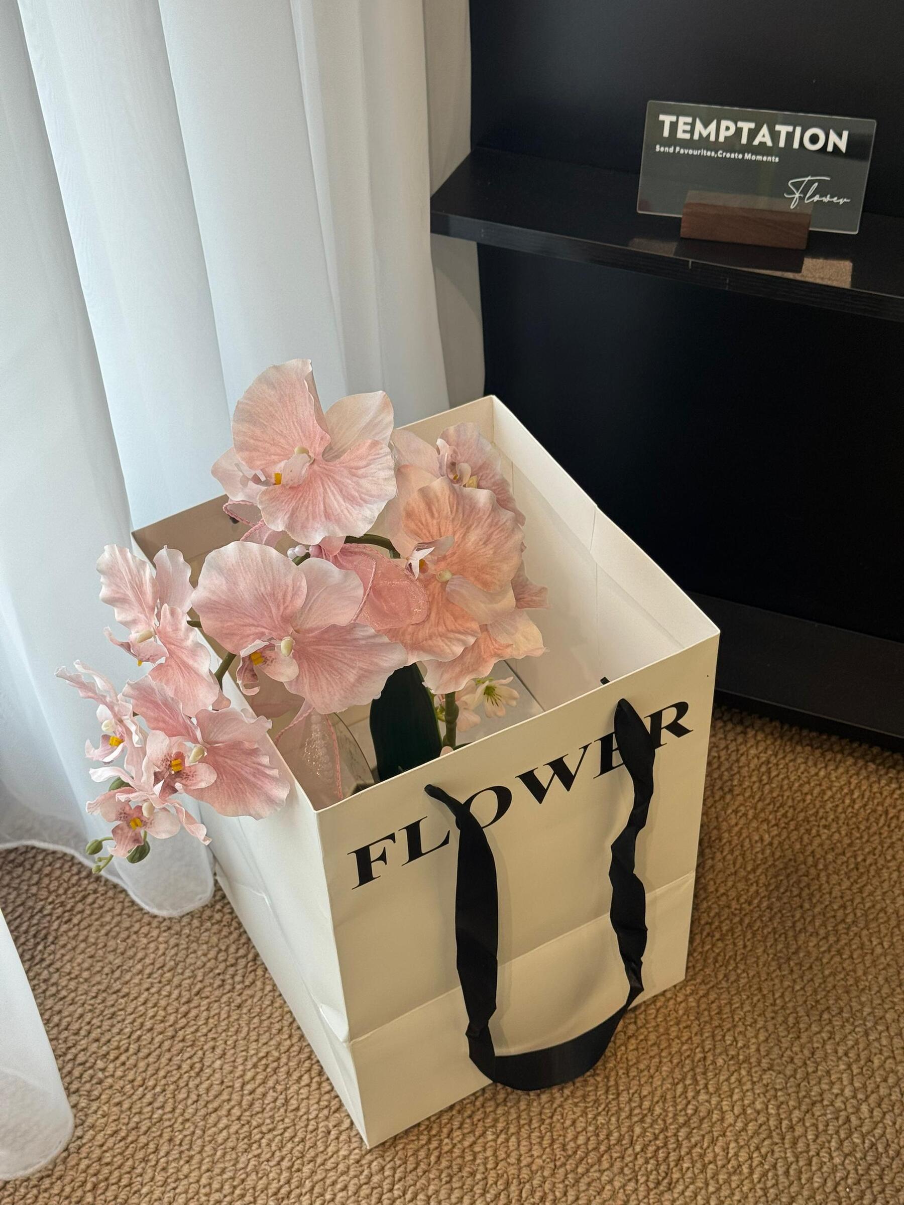 image_DC197F00-5188-4F23-8487-6AC5F939EBB0_1776850816