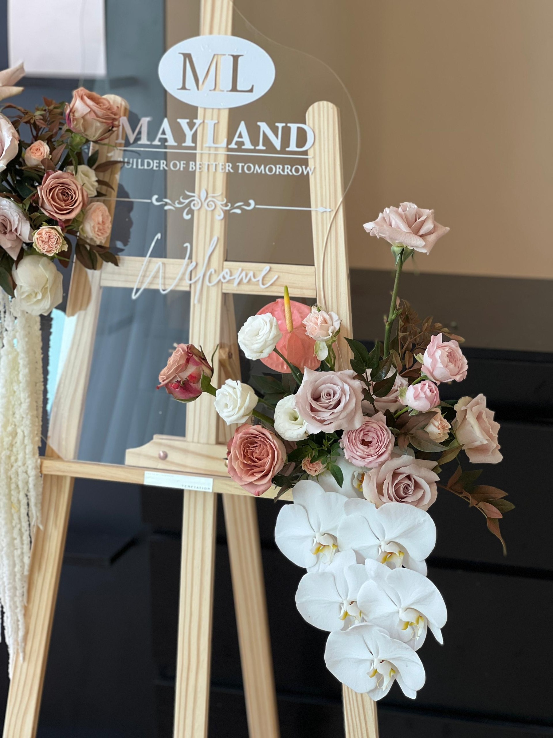 image_2F65DA58-D142-4C18-BF73-F137C7A6F62A_1777279557