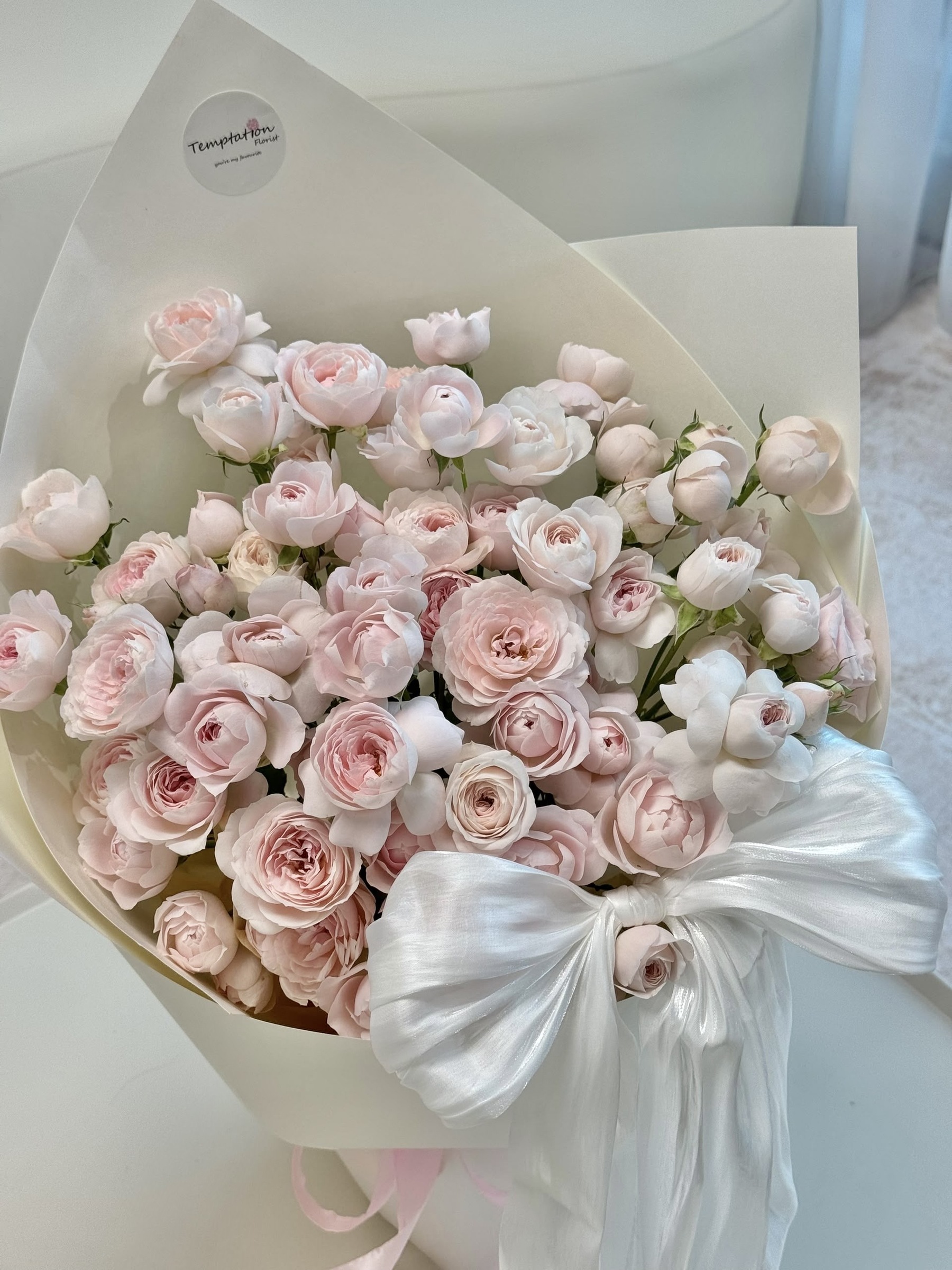 image_73E320BD-EEC7-4878-88AB-D81F30A6C3BF_1791969739