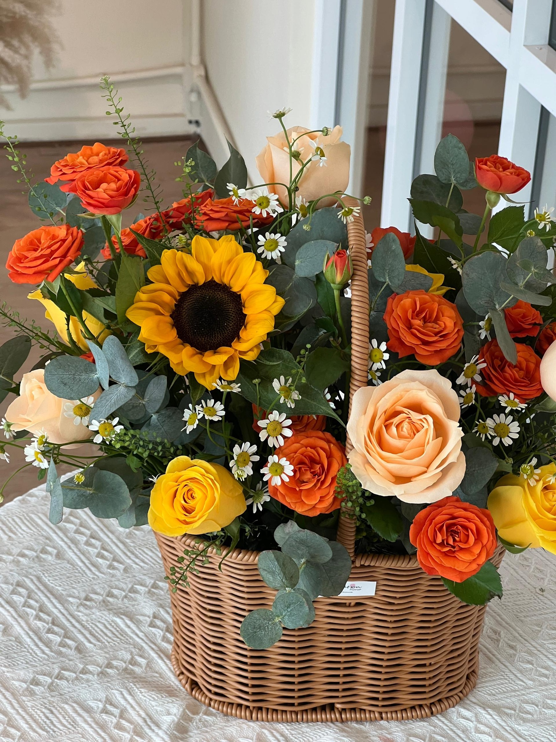 b1bdbdfa-e228-467f-a576-4f21cb894743