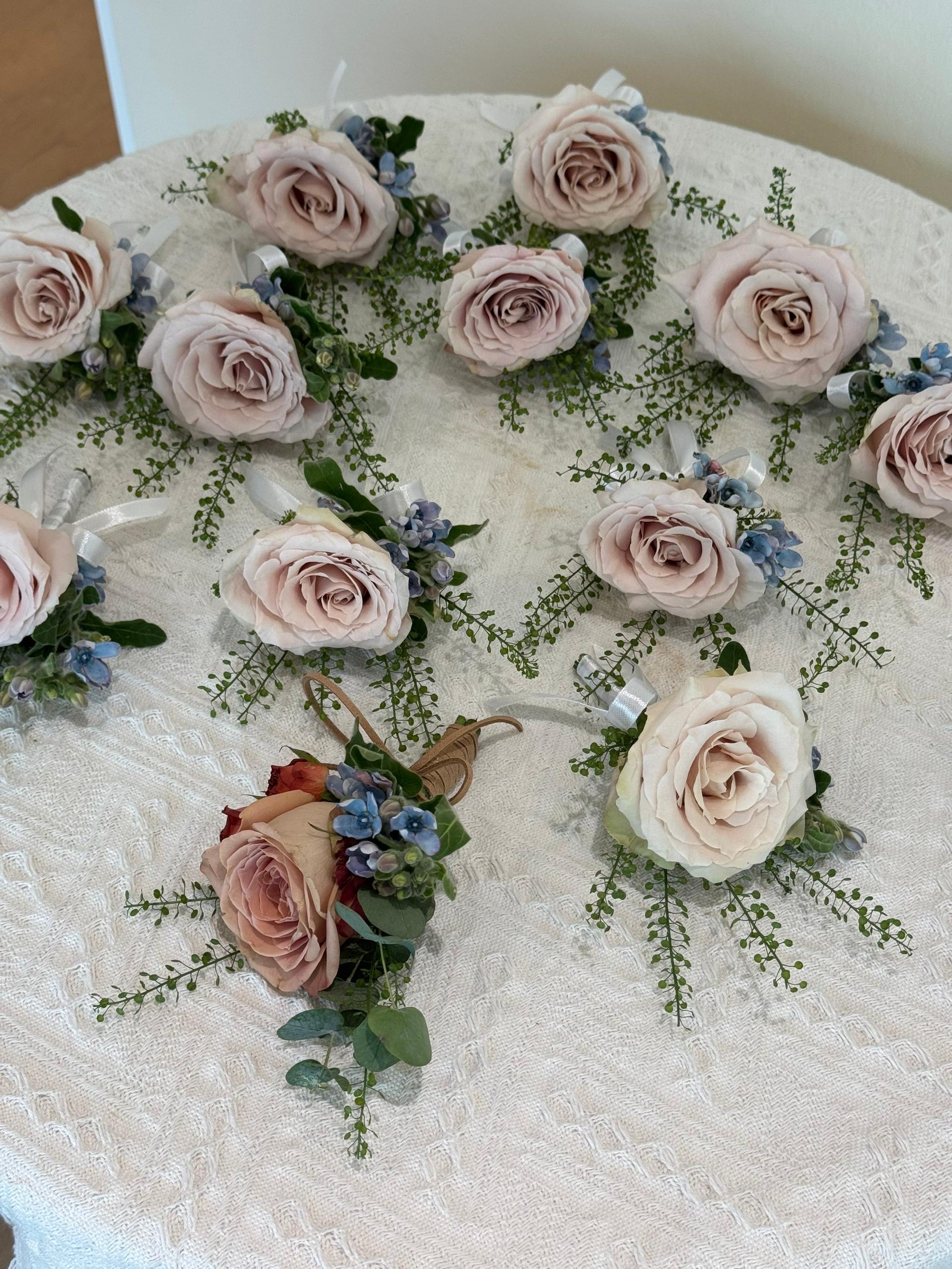 48187658-838d-450a-b17c-31f960aebff7