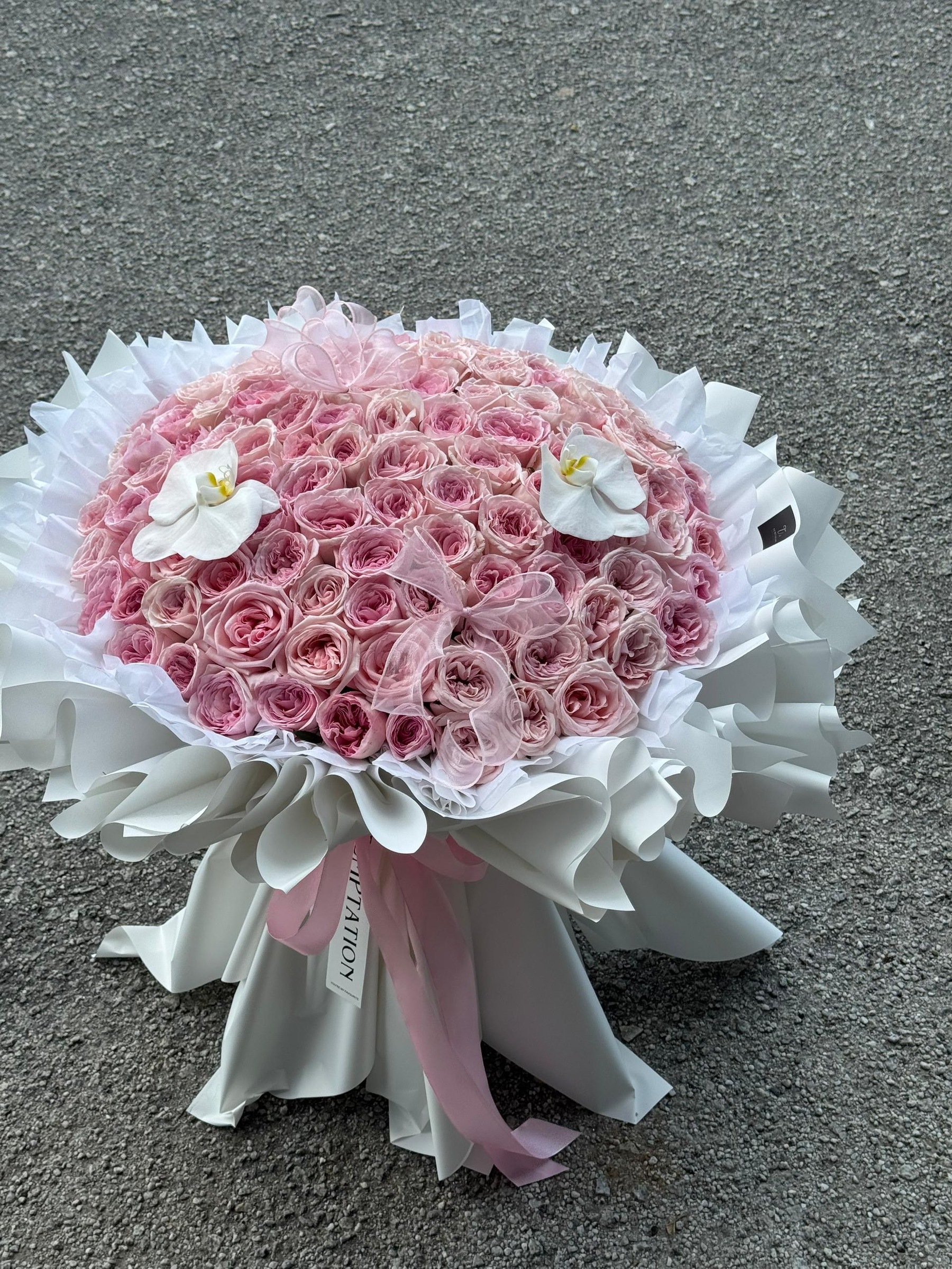 d2d8b784-9b98-4b08-91b2-f8a2a3f7fb82