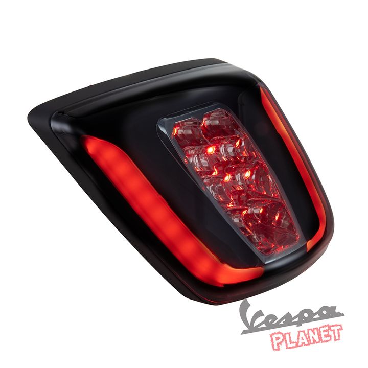 Zelioni Tail Light 2.jpg
