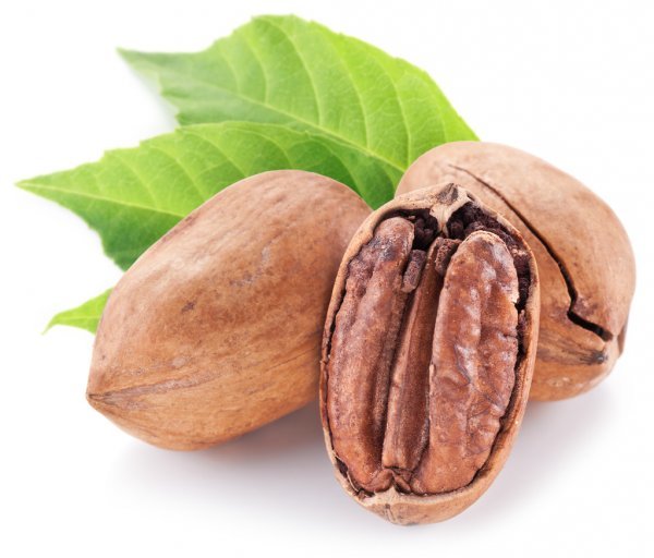 roasted pecan nut.jpg