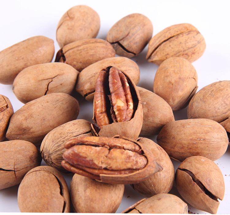 pecan nut 2.jpg