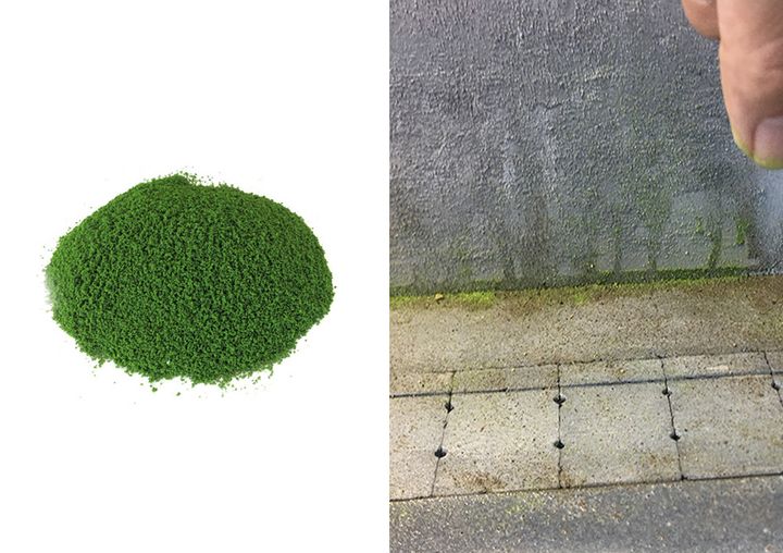 草粉.jpg