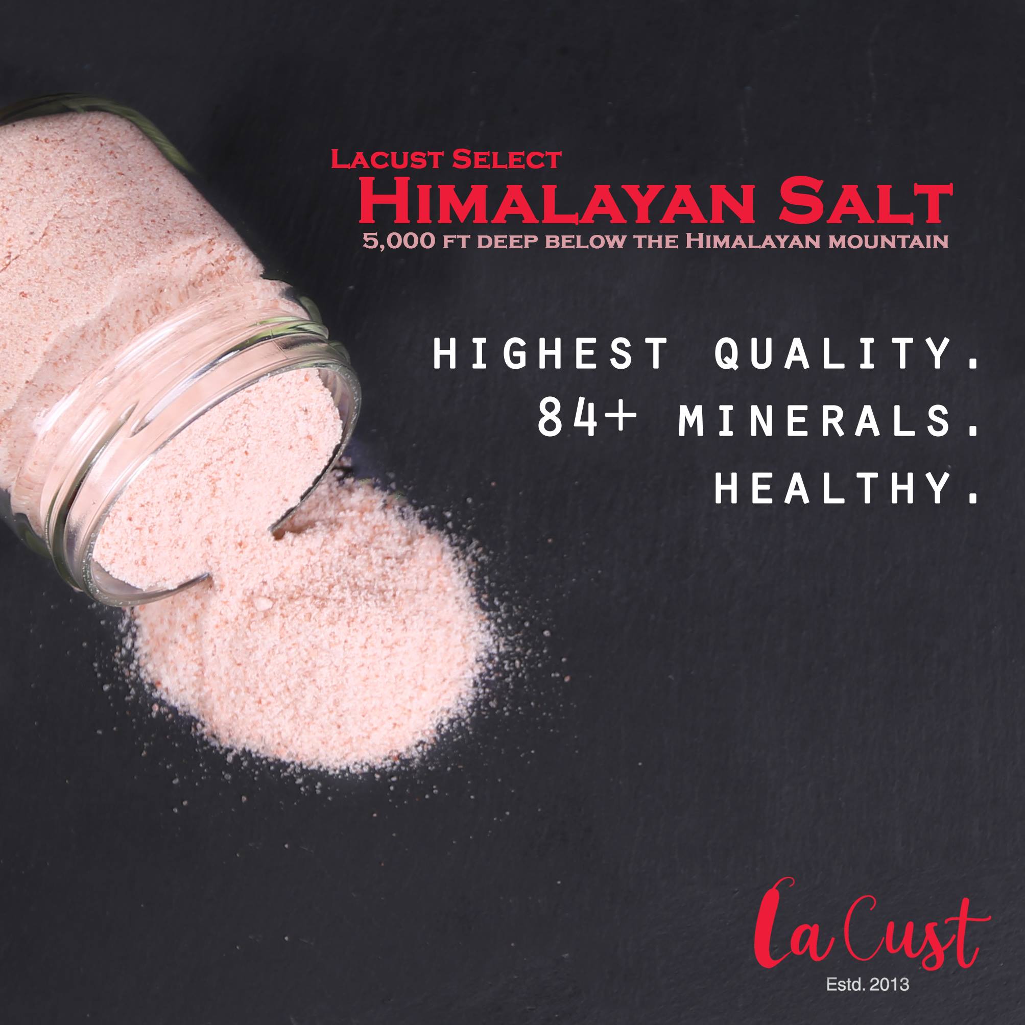 lacust-himalayan-salt