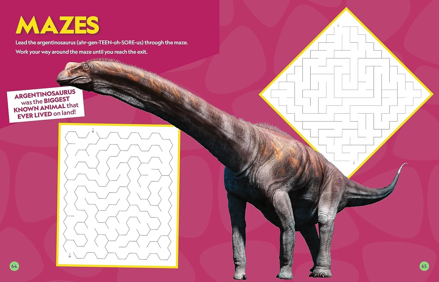 04_National Geographic Kids Puzzle Book of Dinosaurs