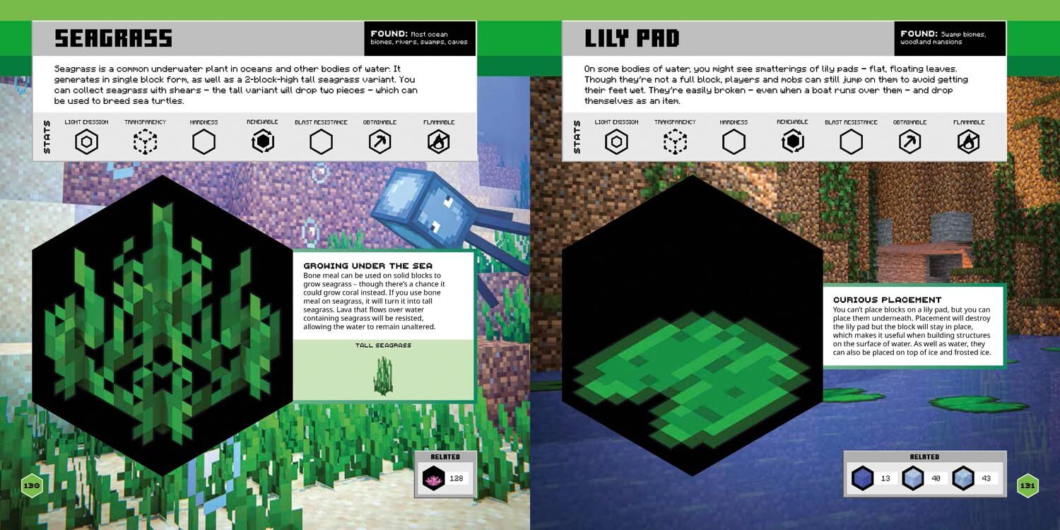 05_Minecraft Official Blocks Guide