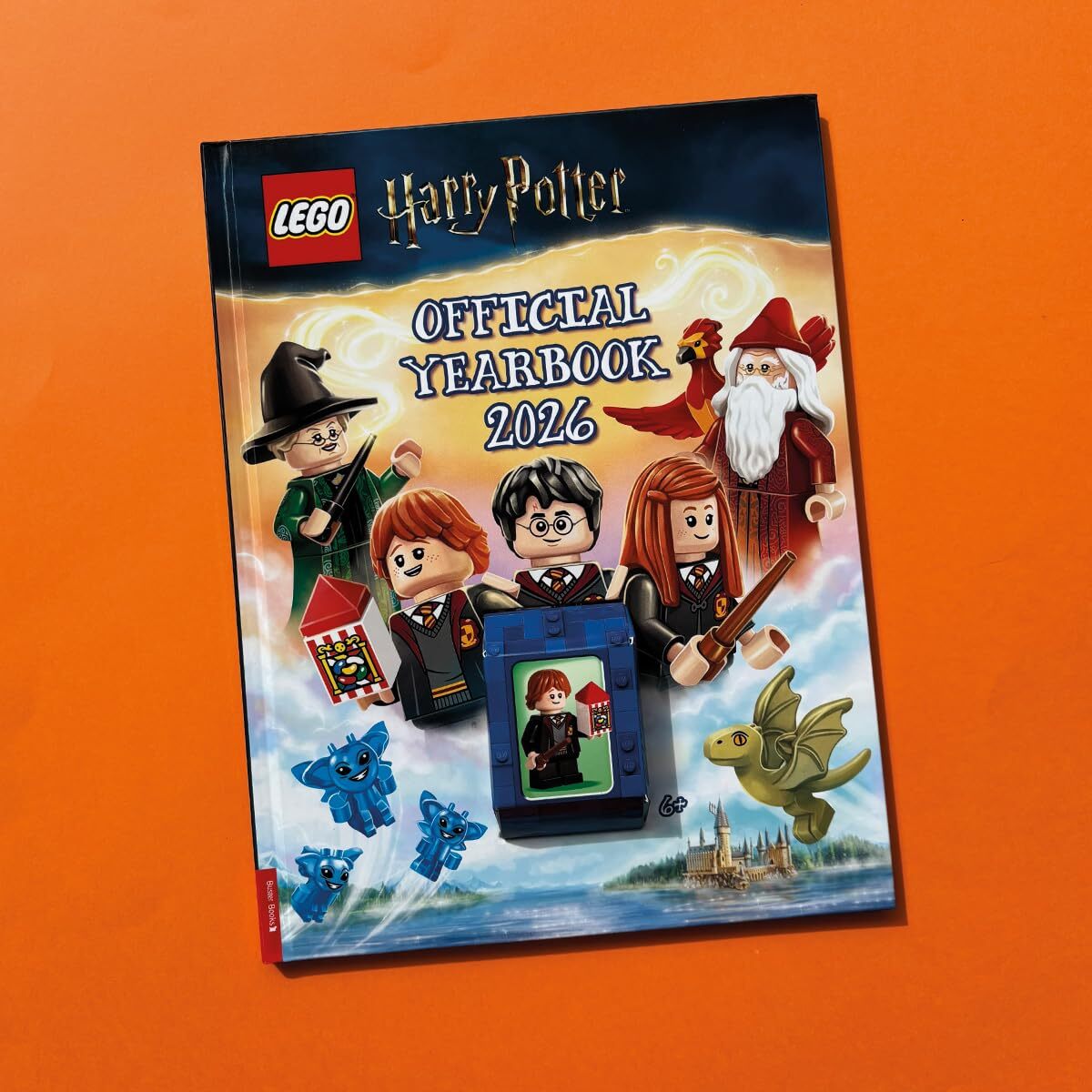07_LEGO® Harry Potter