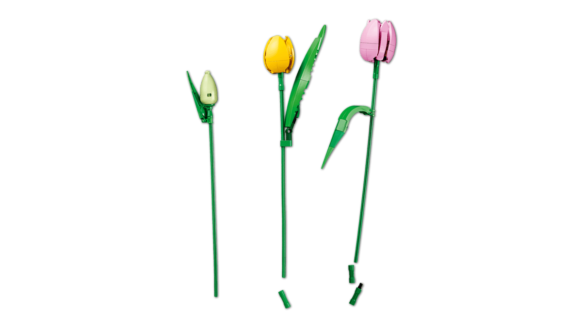 05_Tulip Bouquet