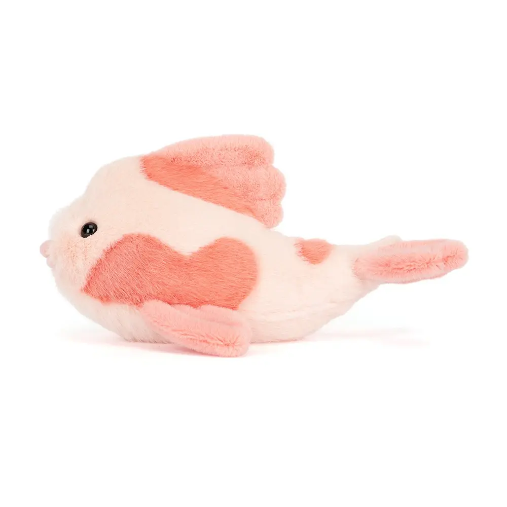 03Fancy Carp