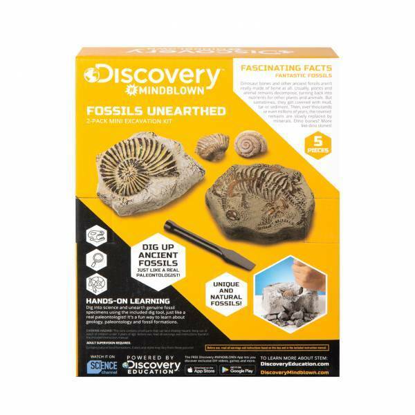Toy-Excavation-Kit-Mini-Fossil-2pc_1-e1612920624507-600x600