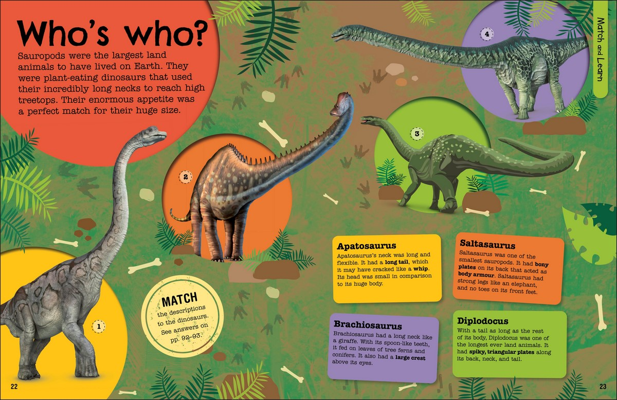 the FACT-packed activity book -dinosaur 2