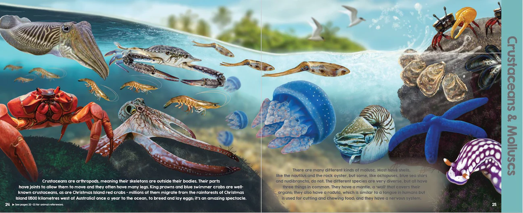 ANIMALS OF THE OCEAN 1B