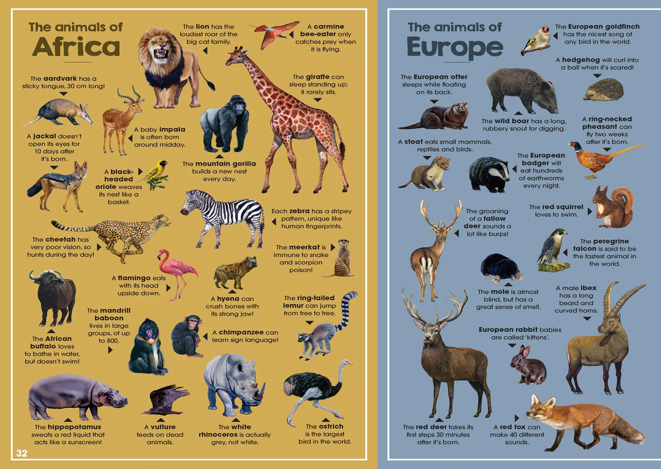 ANIMALS OF THE WORLD 1A