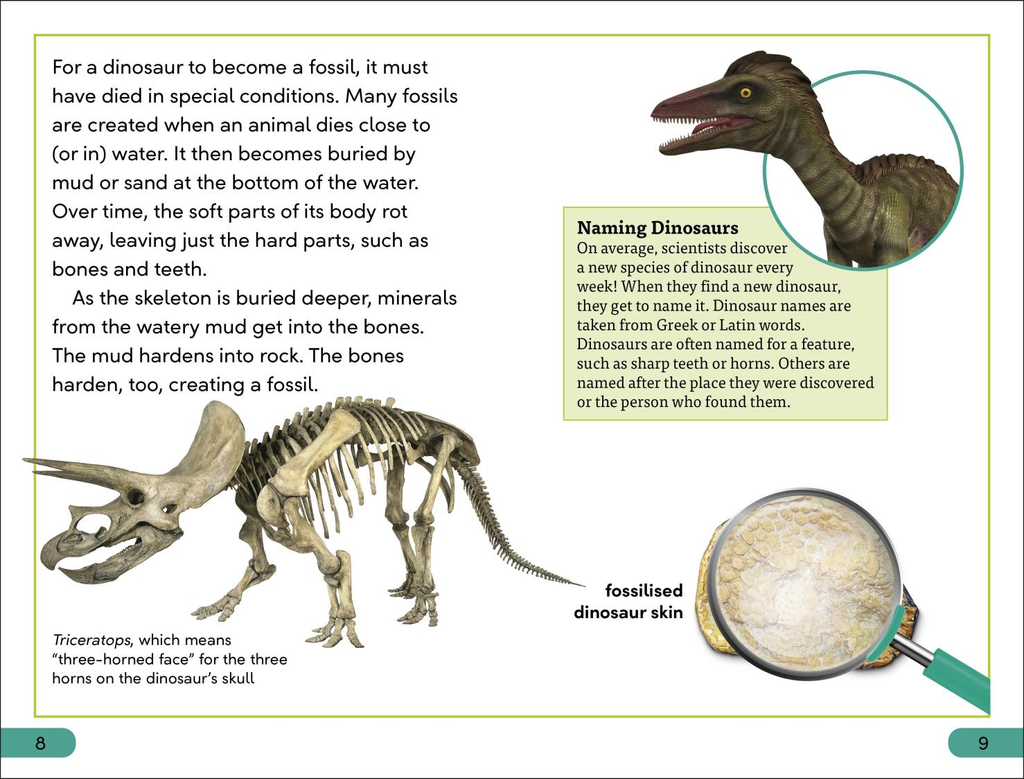 DINOSAUR DISCOVERED 1A