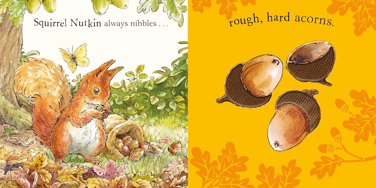 81hT+w+WCML._SL1500_