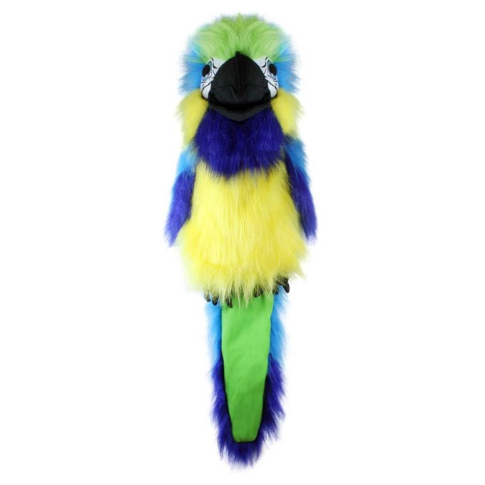 Blue-and-Gold-Macaw-Large-Birds-PC003105-1-680x680