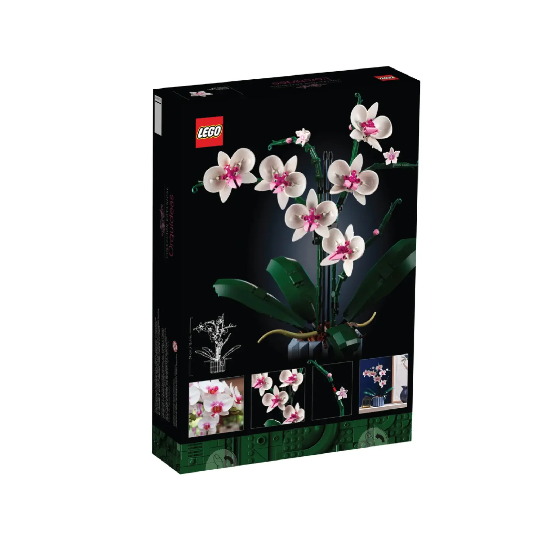 Untitled-1-06_53005036-011b-4016-9c83-bdc12ae2e78c