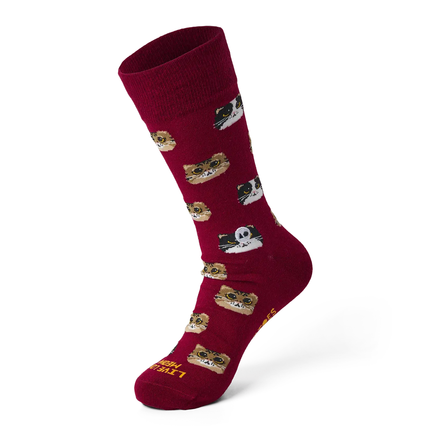 Kitten_Crew_3D_M_2eeff38c-ba28-4995-acfe-4b217ccce3d2