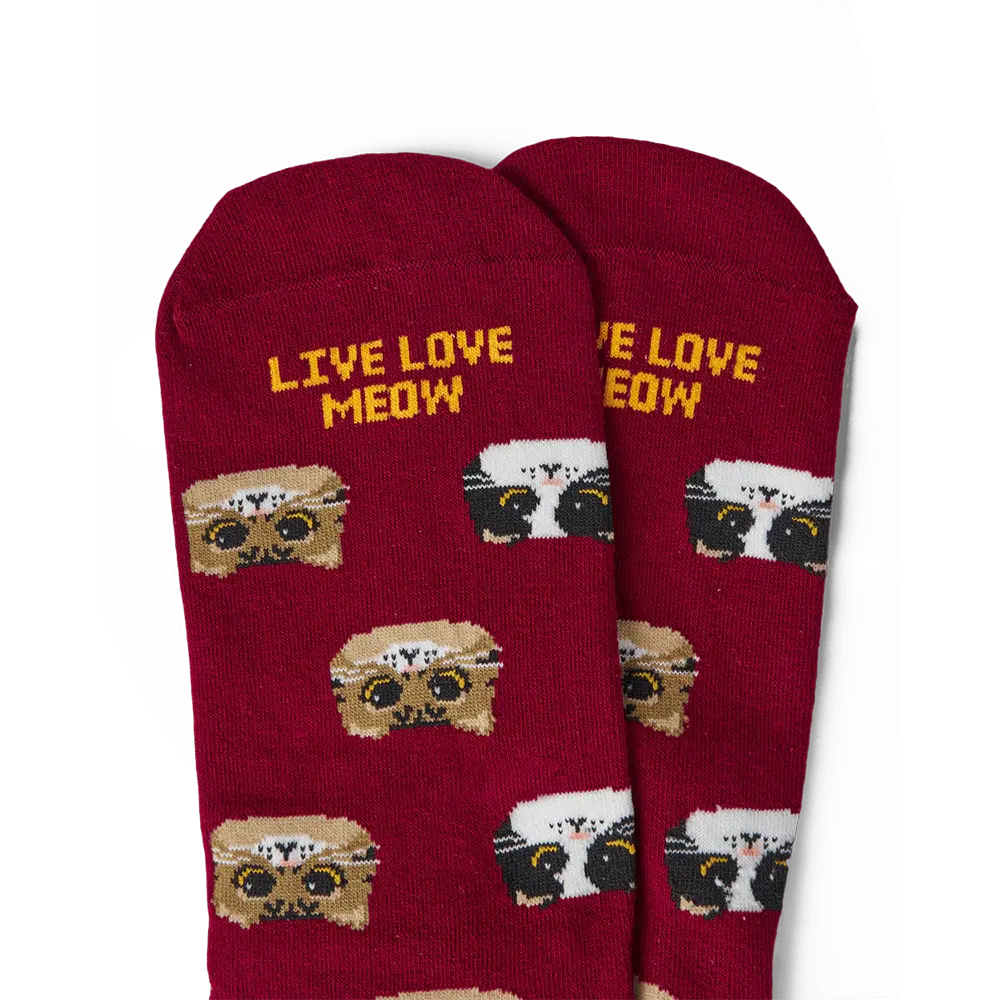 Kitten_Crew_FL_3d1a9604-2c0d-492e-b442-a62f6e9fa8e1