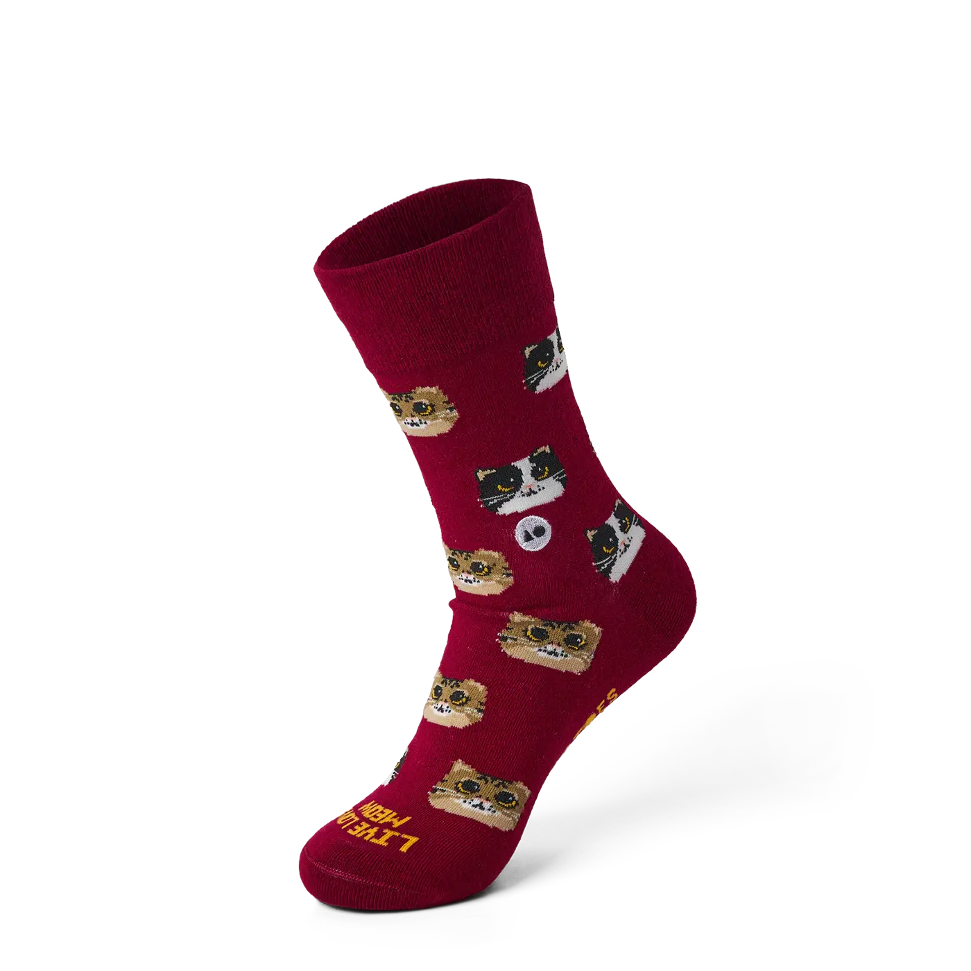 Kitten_Crew_3D_S_3d5761b5-ba12-4a24-b0b4-ffe5a09d8357