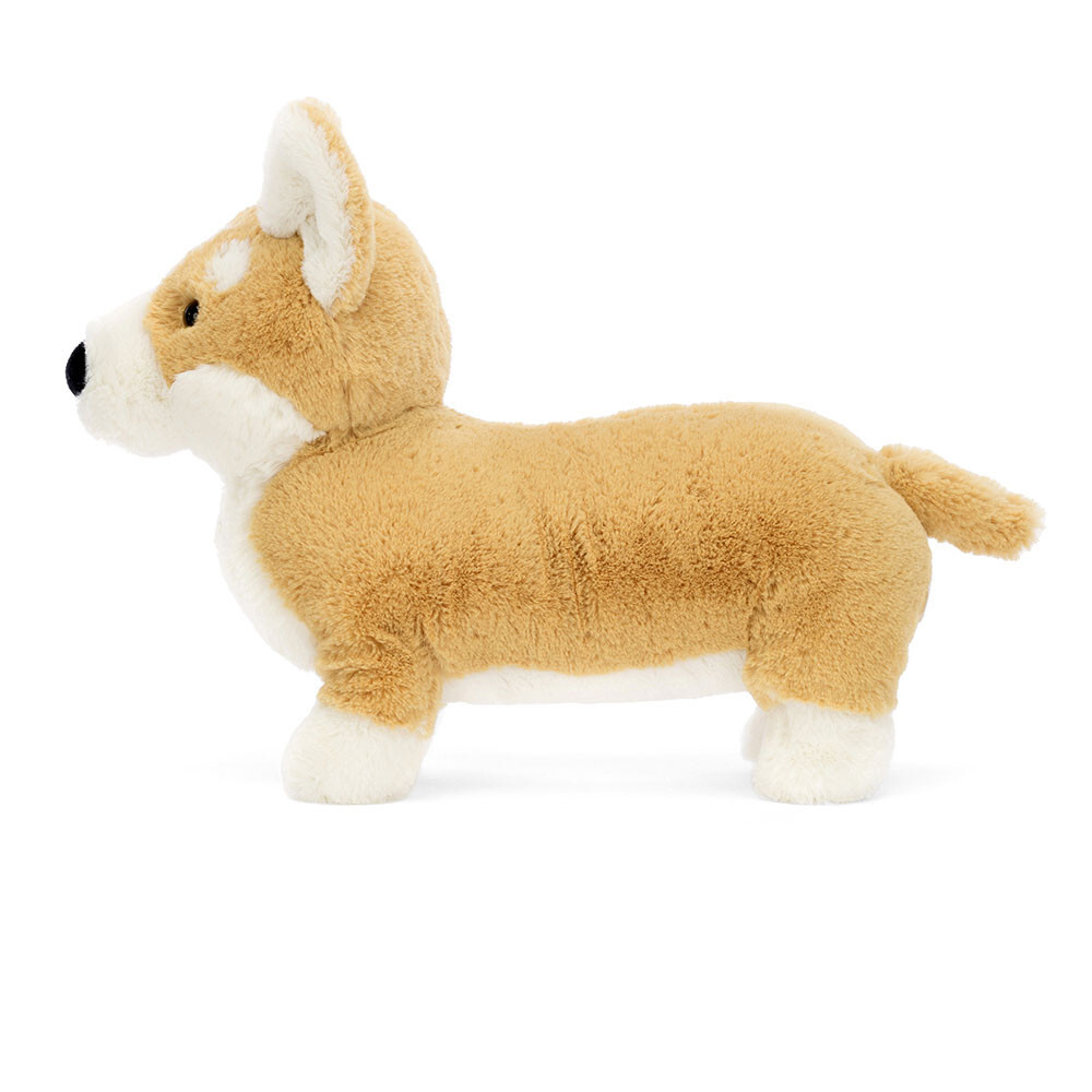 02_BETTY CORGI