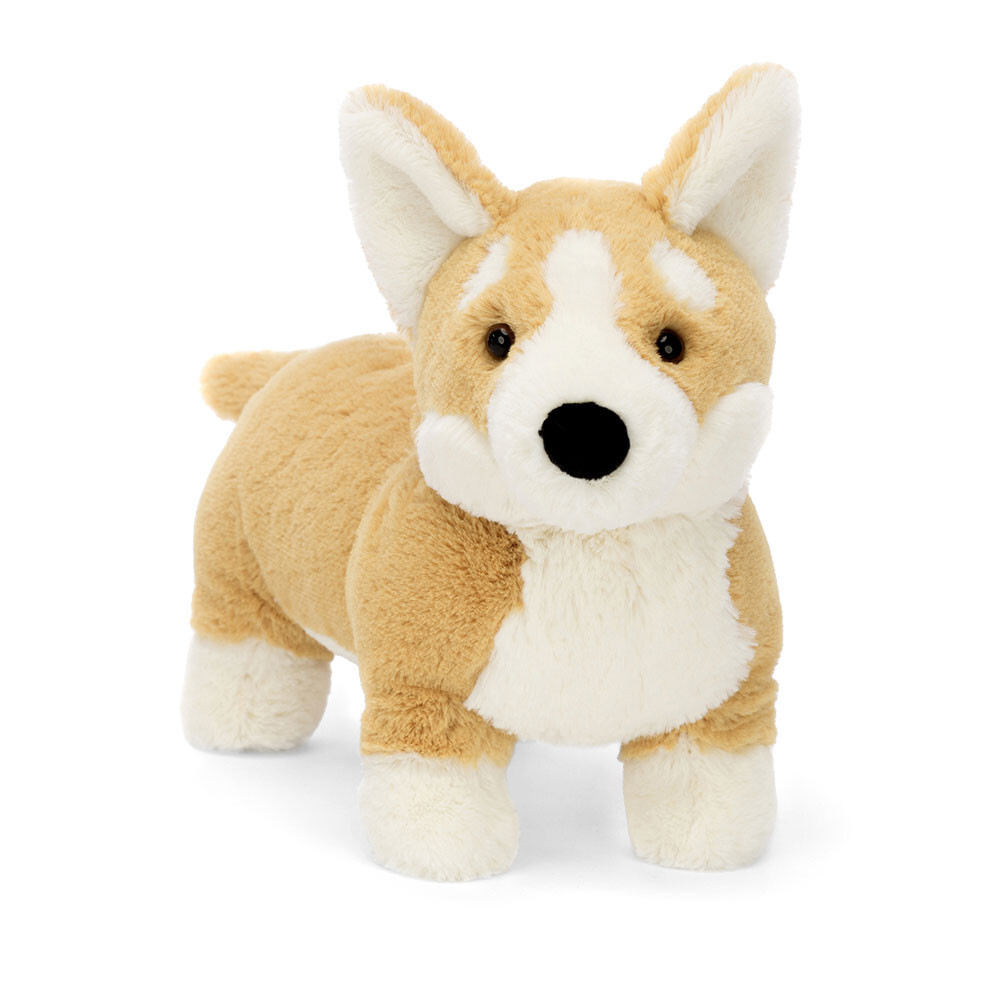 01_BETTY CORGI