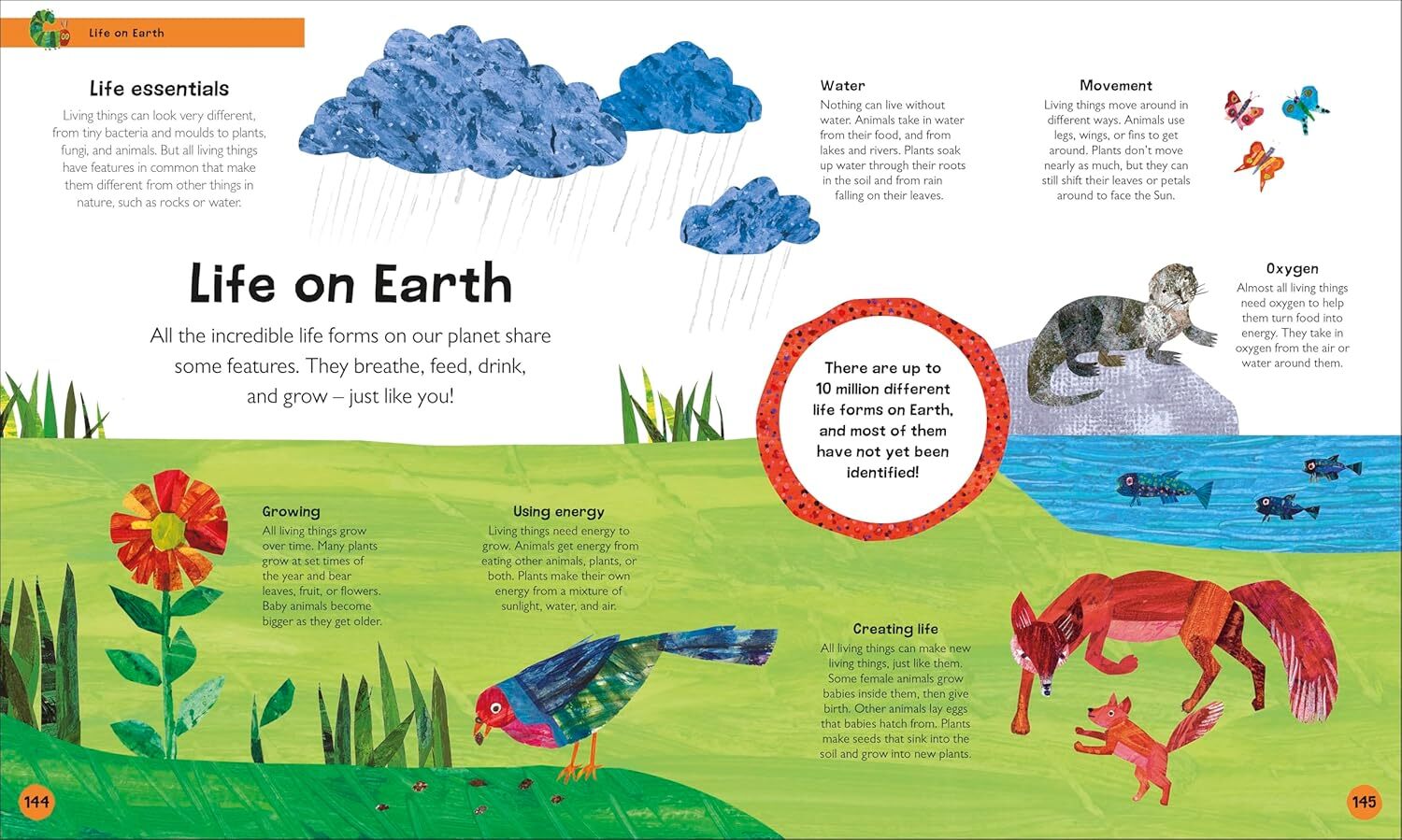 08_The Very Hungry Caterpillar