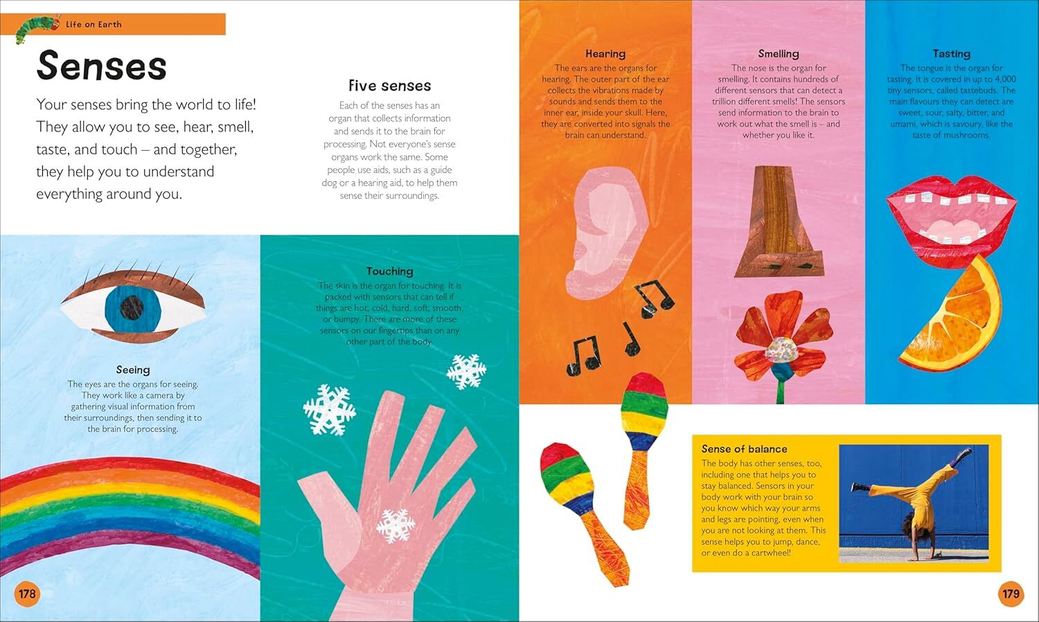 09_The Very Hungry Caterpillar