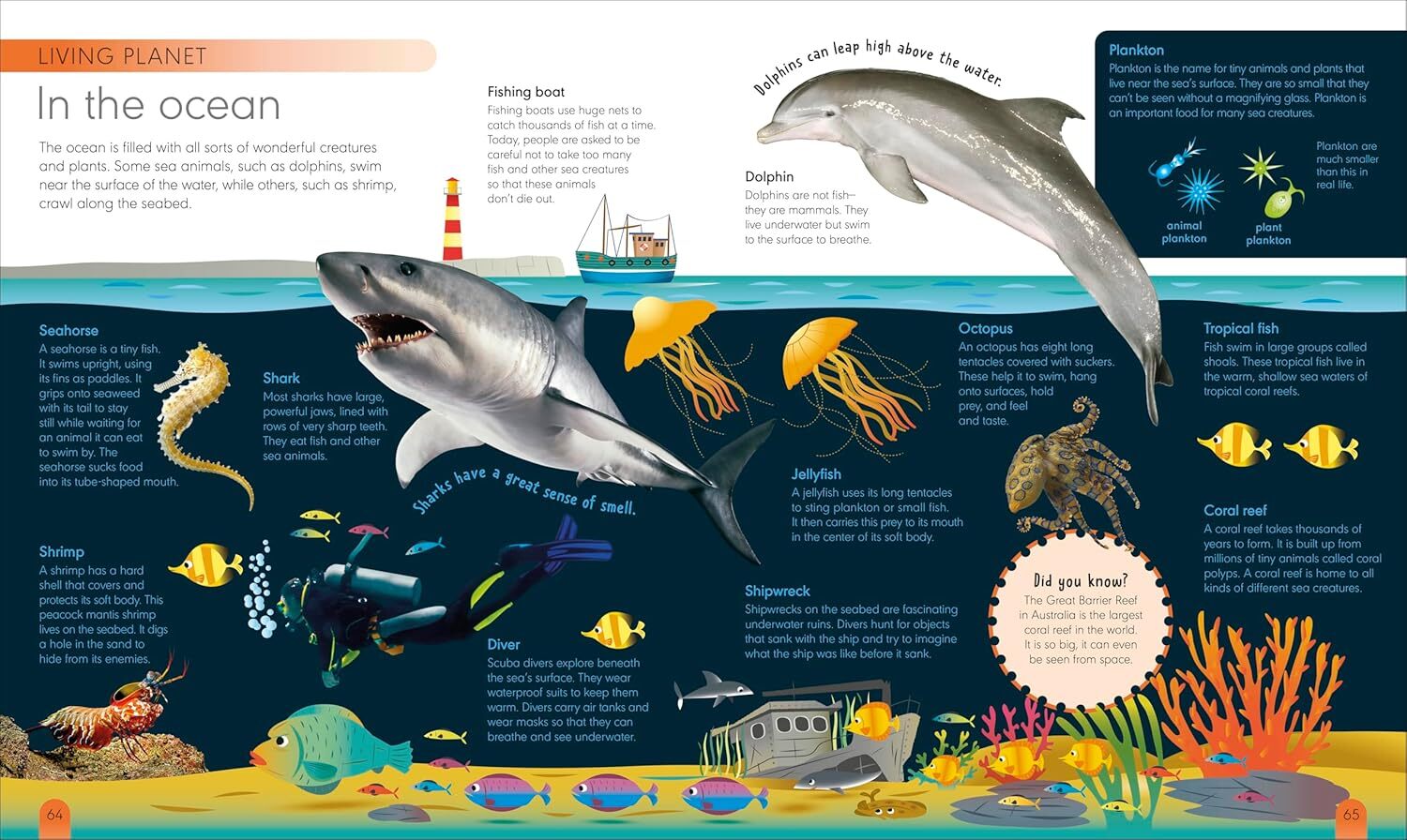 04_My First Encyclopedia