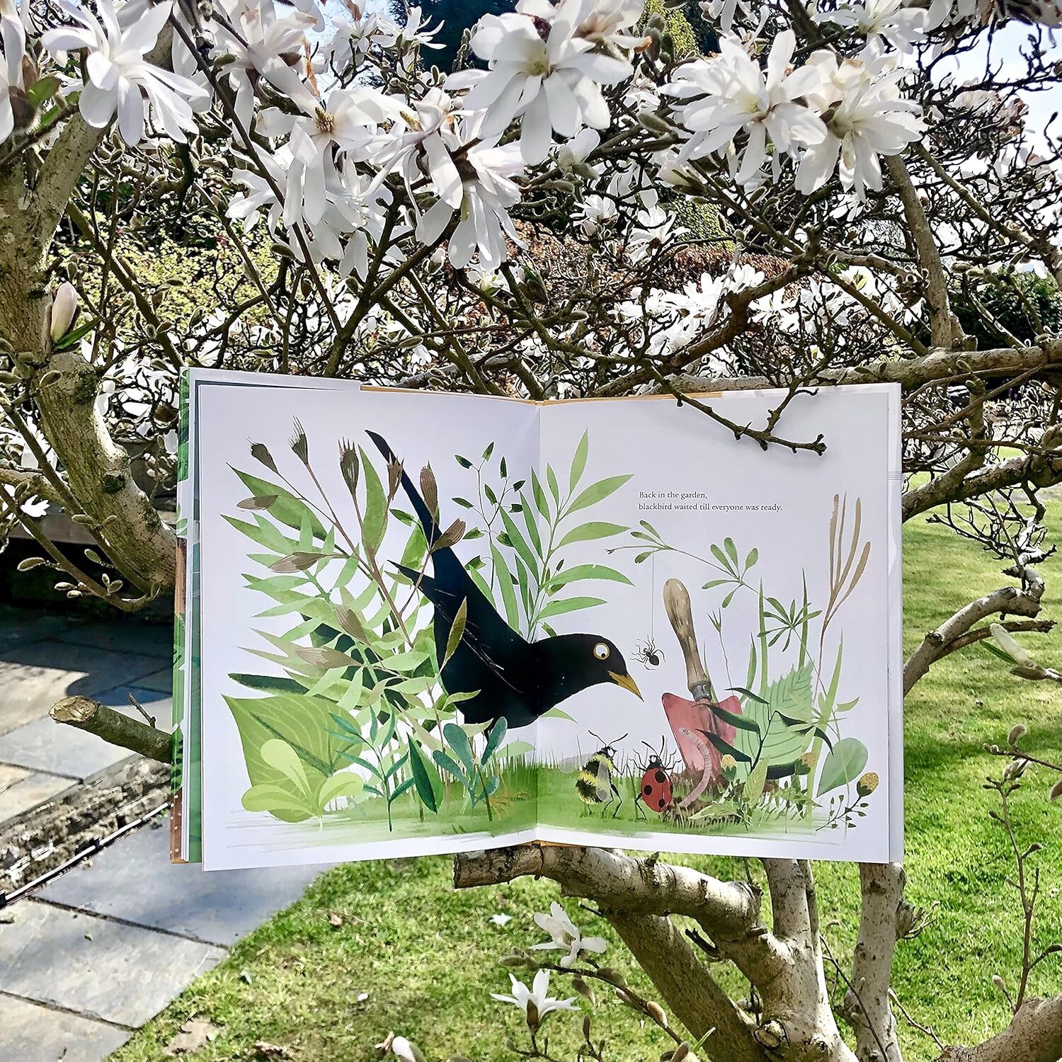 05_A Song of Gladness