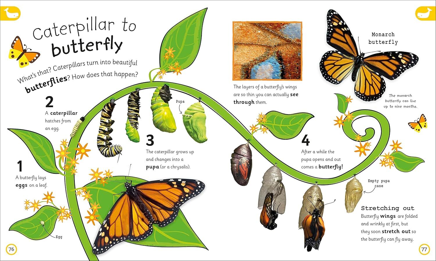 05_My Encyclopedia of Very Important Things